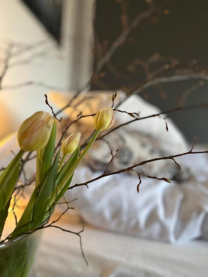 Froejel Resort & Spa Ngoại thất bức ảnh